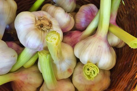 directly above view of fresh garlic in wicker basket