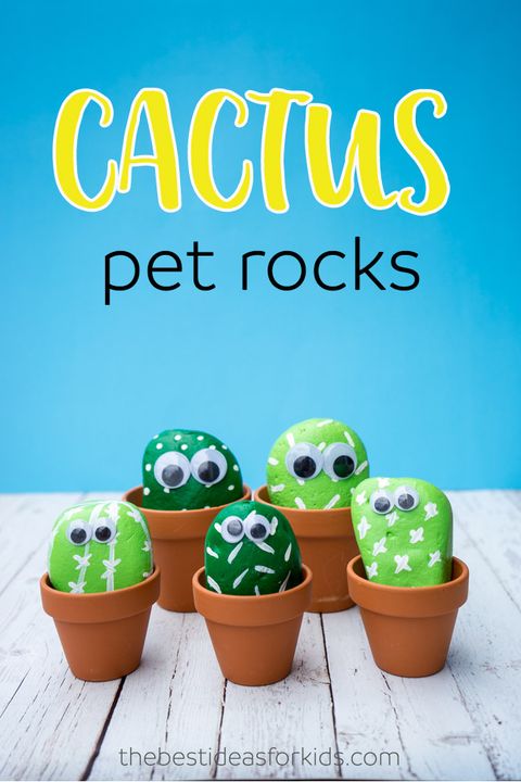 cactus pet rocks   summer crafts